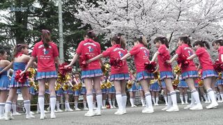 復活のjd神チア01 voyeur jp
